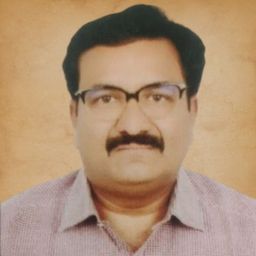 Shri K.N SURESH NAIK.jpg
